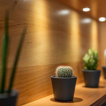 Fraivolti Apartment 威尼斯 外观 照片