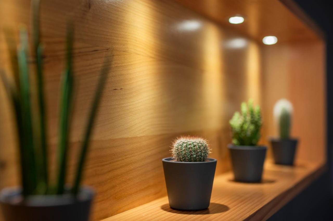 Fraivolti Apartment 威尼斯 外观 照片